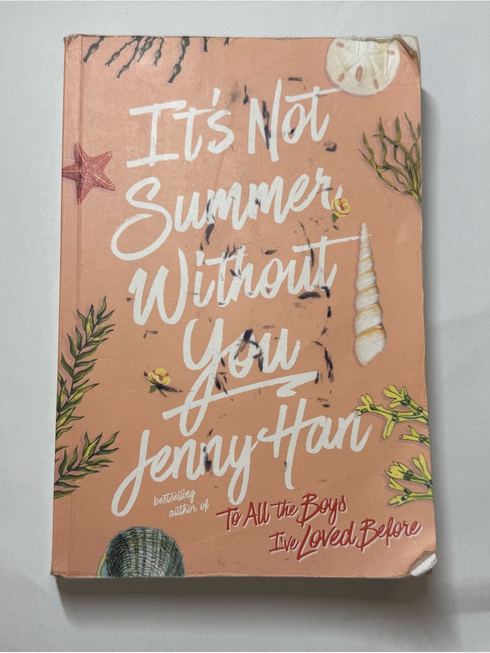 It's Not Summer Without You by Jenny Han